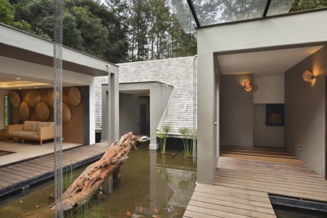 koi pond with a tree trunk focal point