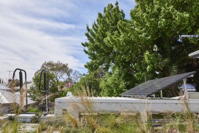 green roof Melbourne Vernacular by Altereco Design