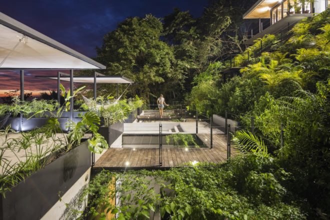 Elevated walkways above a tropical garden.