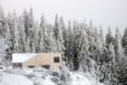 Pine forest Mylla Cabin by Mork-Ulnes Architects