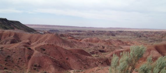 Land in the Petrified Forest National Park