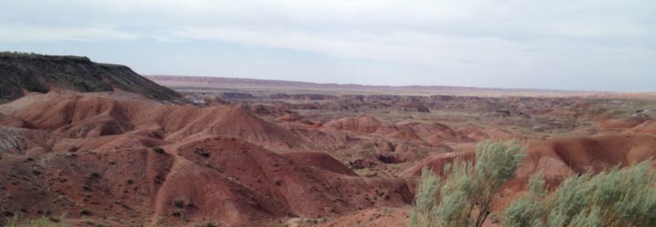 Land in the Petrified Forest National Park