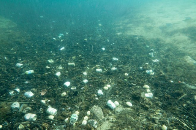 Garbage accumulated at the bottom of the sea