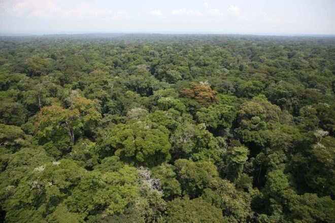 An aerial photograph of the Ituri Rainforest in the Democratic Republic of Congo