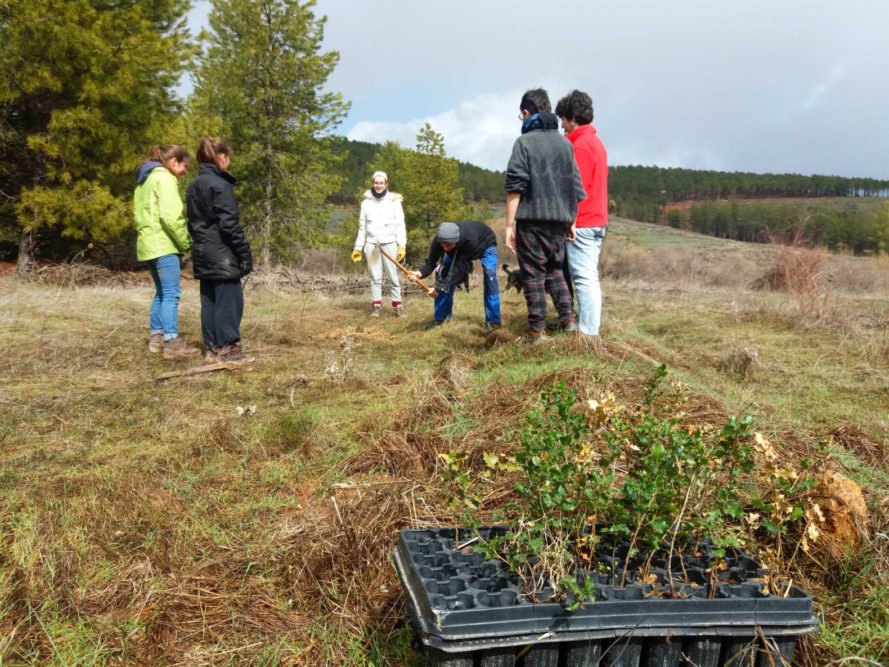 a group of people in a field with plants nearby