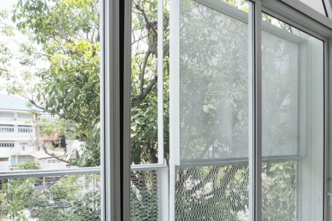 mesh covered window