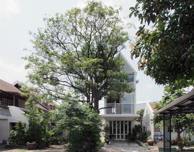 large tree in front of white building with pitched roof