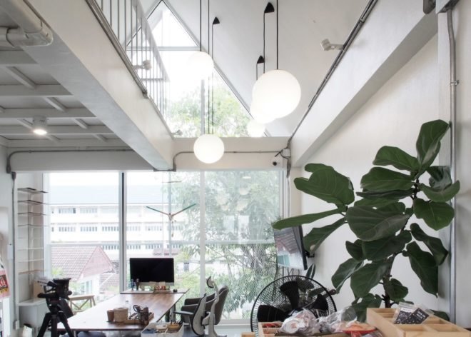 white interior with desks and plants