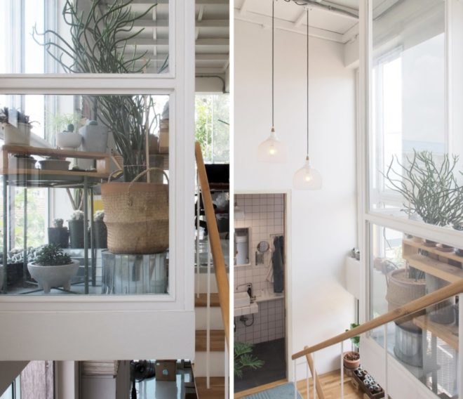 photos of white interior with plants