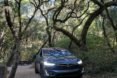 Tesla car under trees at Henry Cowell Redwoods State Park