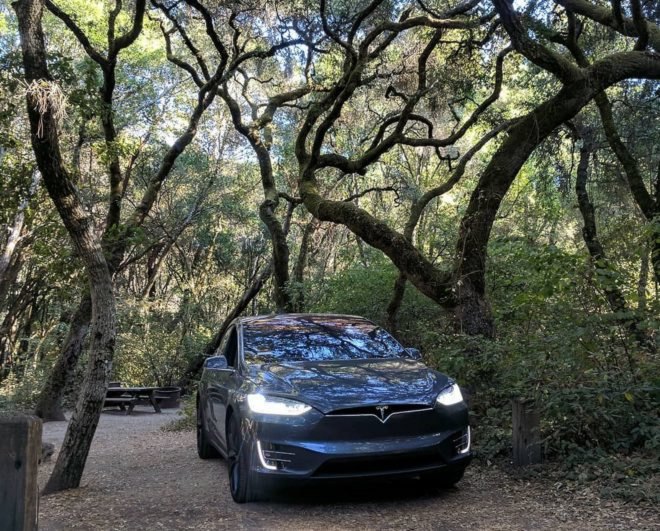 Tesla car under trees at Henry Cowell Redwoods State Park