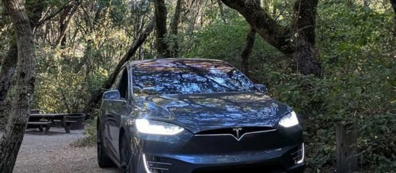 Tesla car under trees at Henry Cowell Redwoods State Park
