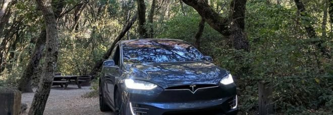 Tesla car under trees at Henry Cowell Redwoods State Park