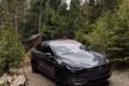 Tesla car amidst the trees, near a cabin in Tahoe