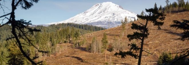 A deforested area in front of a snowy mountain