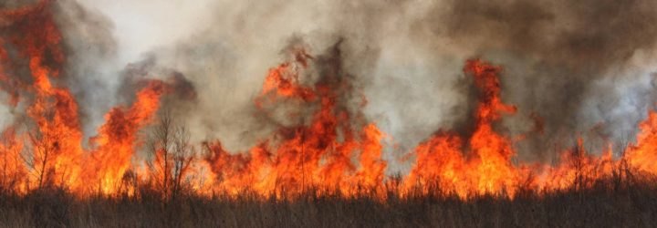 A wildfire burning grass and filling the air with smoke