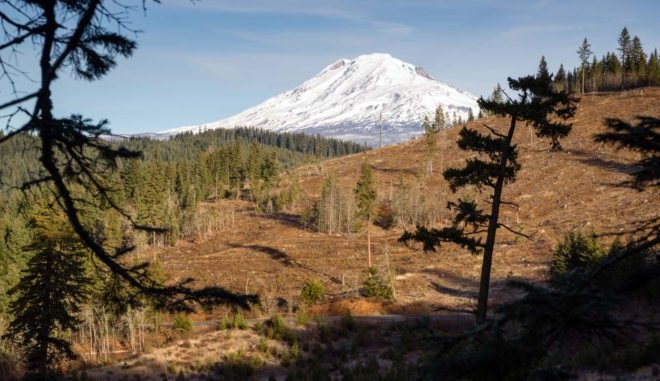 A deforested area in front of a snowy mountain