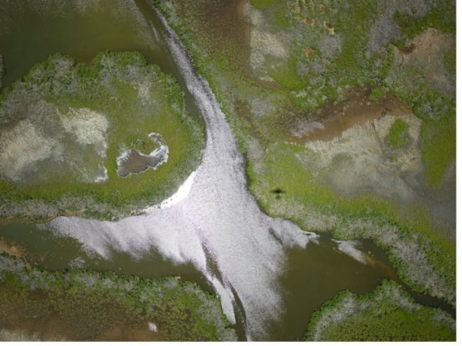 NASA image of coastal wetland in Puero Rico after Hurricane Maria
