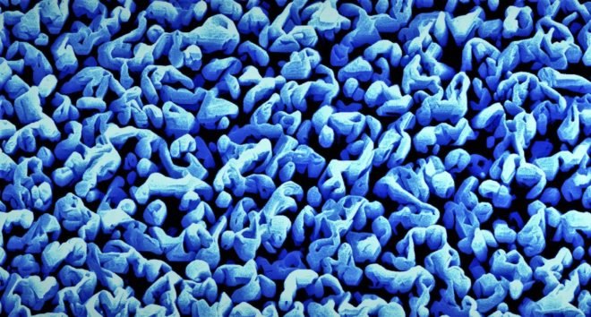 Microscopic image of Gallium Nitride towers viewed from above in artificial photosynthesis device