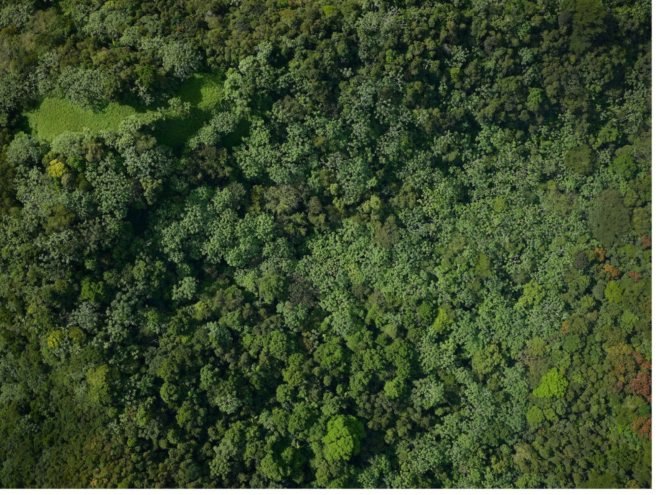 NASA image of El Yunque rainforest before Hurricane Maria