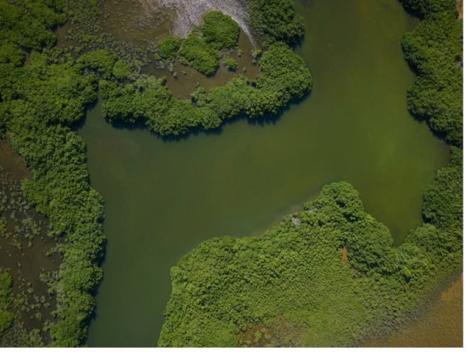 NASA image of coastal wetland in Puero Rico before Hurricane Maria