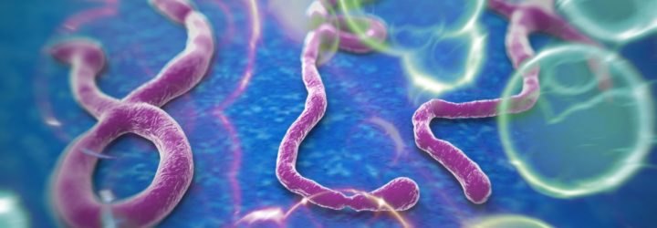 An artist's depiction of the Ebola virus.