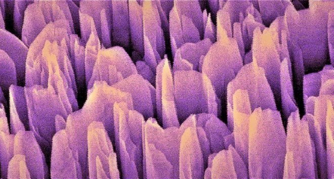 Microscopic image of gallium nitride towers in artificial photosynthesis device