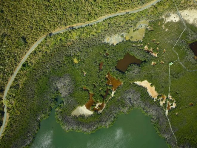 An aerial image of damaged forests in Puerto Rico after Hurricane Maria