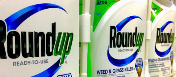 Bottles of Roundup on a shelf