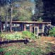 a one story home and its front yard