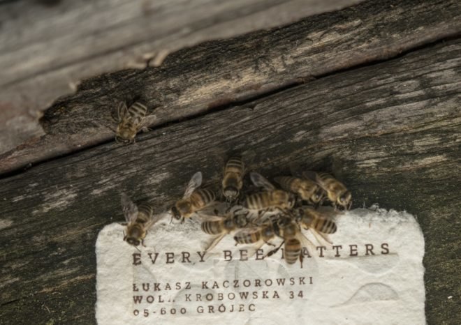 Bee Saving Paper with bees