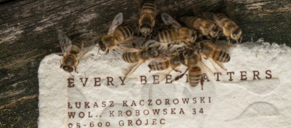 Bee Saving Paper with bees