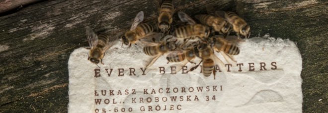 Bee Saving Paper with bees