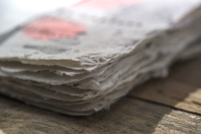 Biodegradable Bee Saving Paper