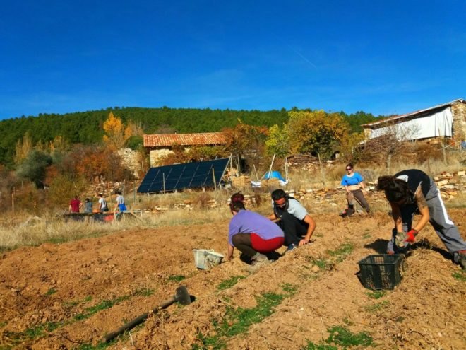 a group of people in the fields
