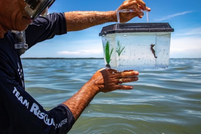 Man holding small fish tank with seahorse inside