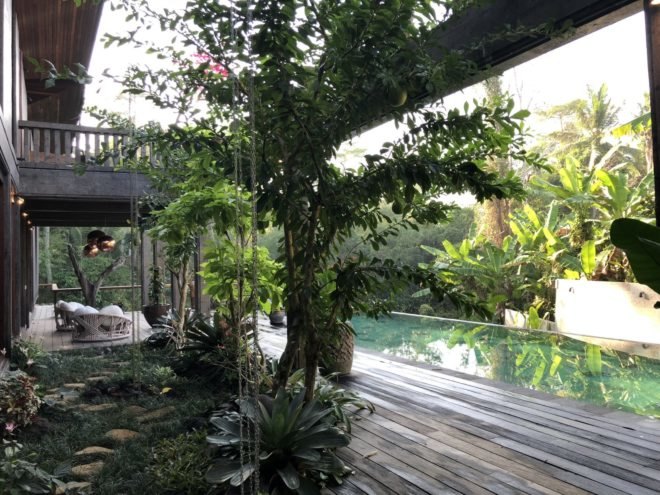 outdoor patio filled with greenery