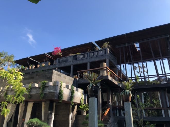 angled view of the house with several plants and large glass walls