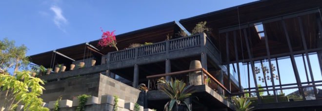 angled view of the house with several plants and large glass walls