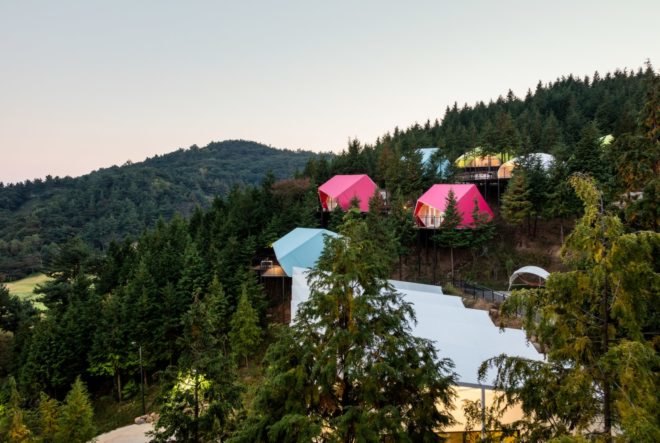 pink and blue camping pods deep in a green forest