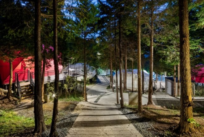 a walkway surrounded by trees