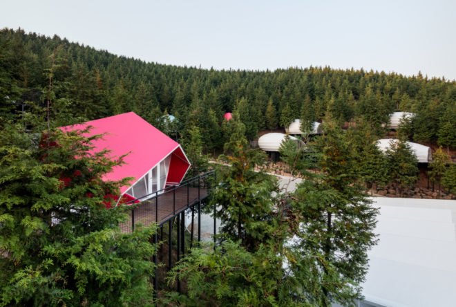 a pink building surrounded by a forest