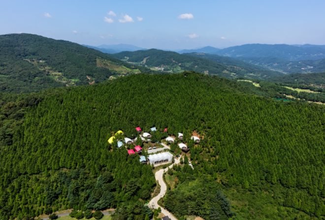 view from above of white building surrounded by colorful smaller buildings in forest