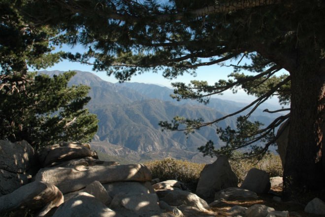Distant view of mountains through space between trees