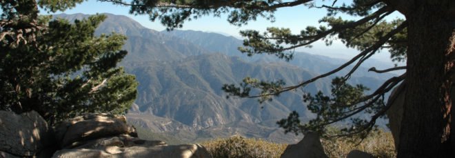 Distant view of mountains through space between trees