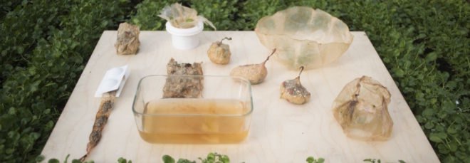 different types of food items wrapped in organic plastic substitute
