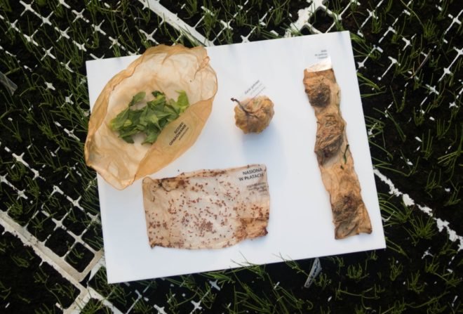 scoby organic plastic substitute used to hold different types of food