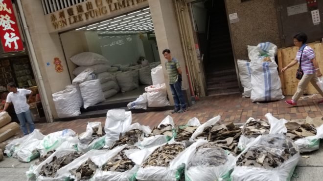 A shipment of shark fins in Hong Kong