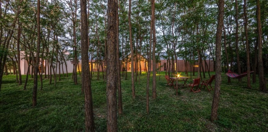house seen through the forest
