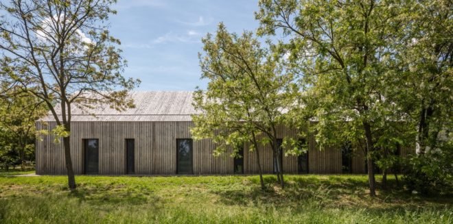 Timber home partially disguised by trees